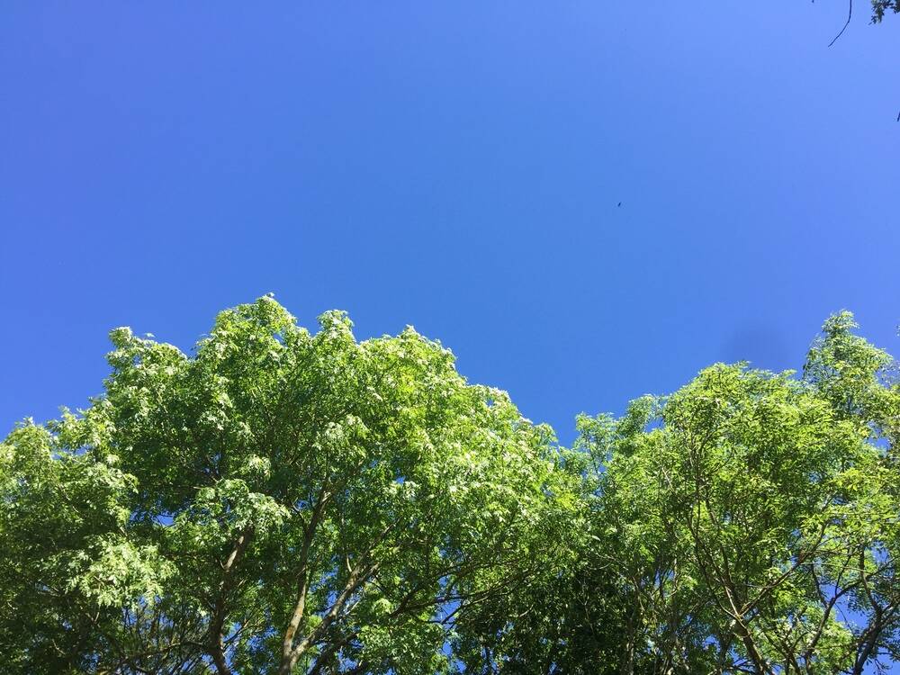 Beautiful blue sky