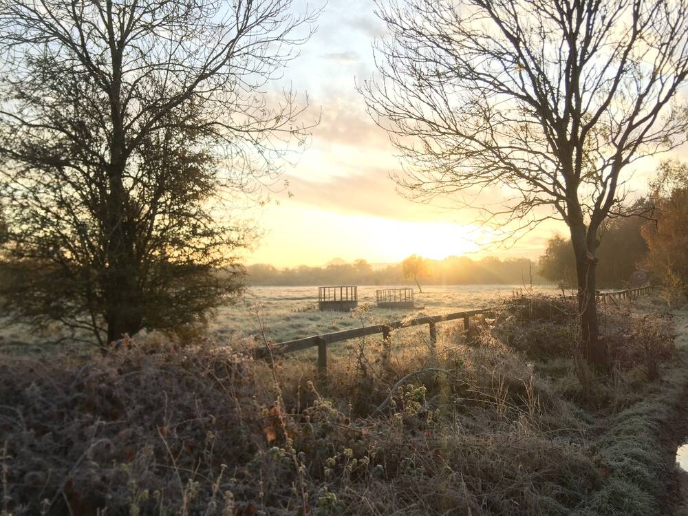 Frosty morning at Wolford Wood