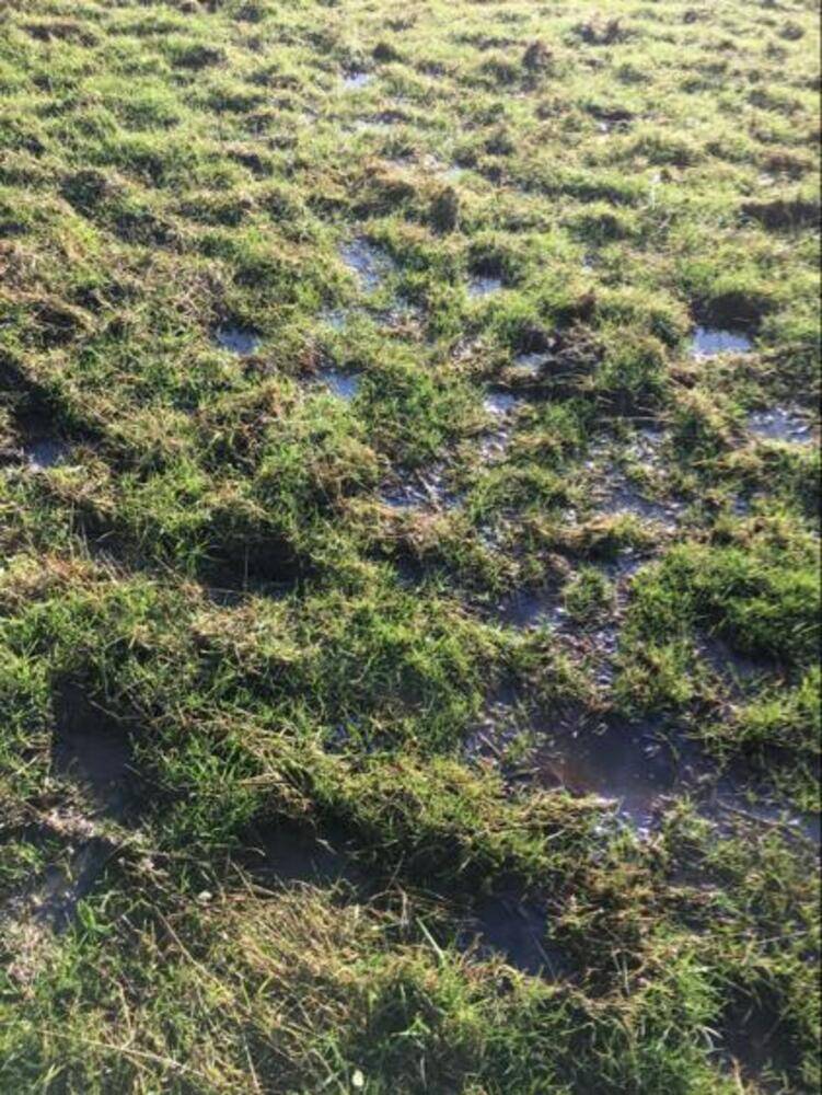 Can you see the newt? No, nor can we!