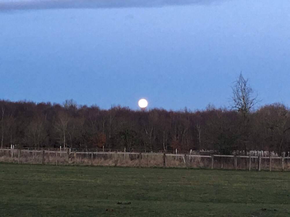 Wolf Moon seen at Wolford Wood