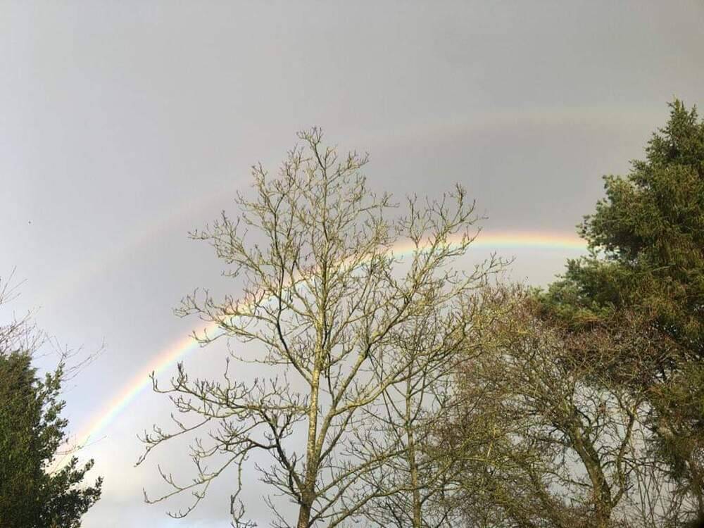 Rainbow at Wolford Wood