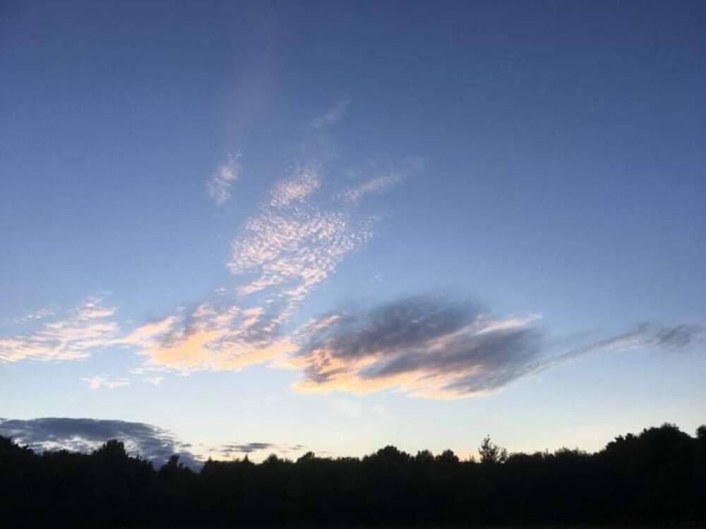 Beautiful sky at Wolford Wood
