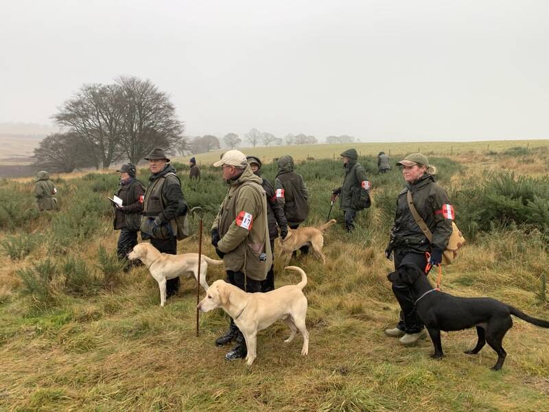 Press | The International Gundog League Retriever Society