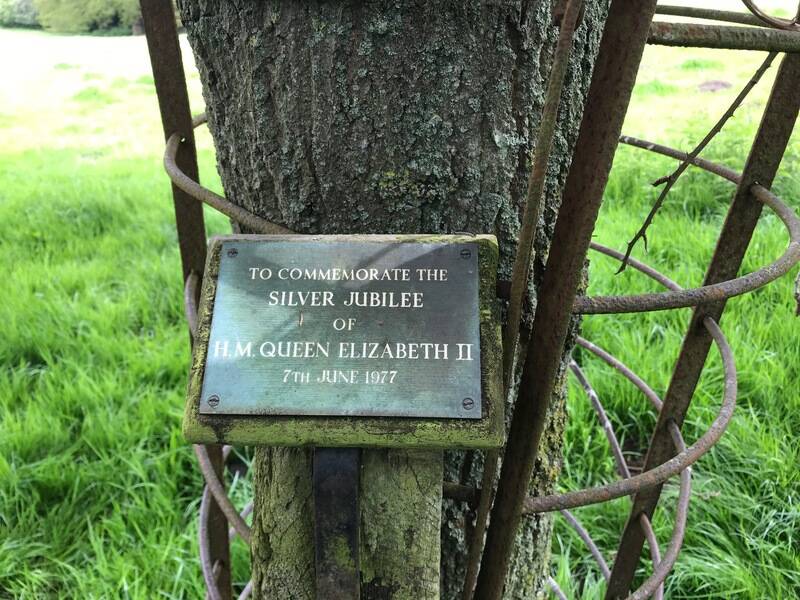 Tree planting ideas for Platinum Jubilee wanted Little Wolford