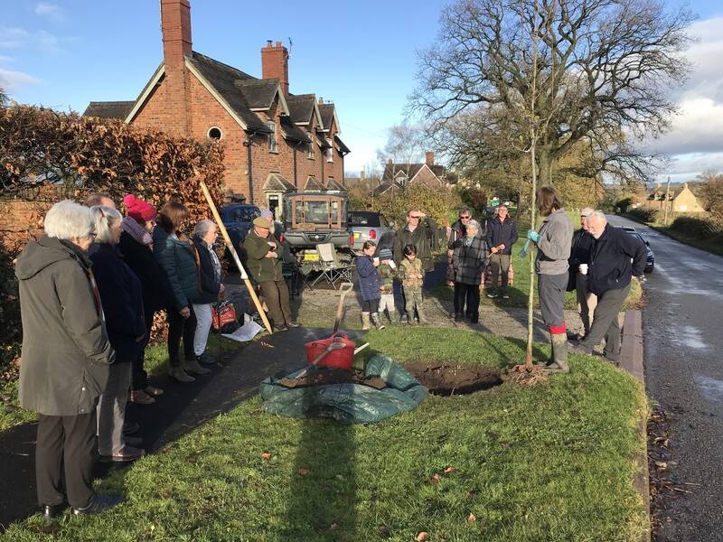 Sun shines for jubilee tree planting