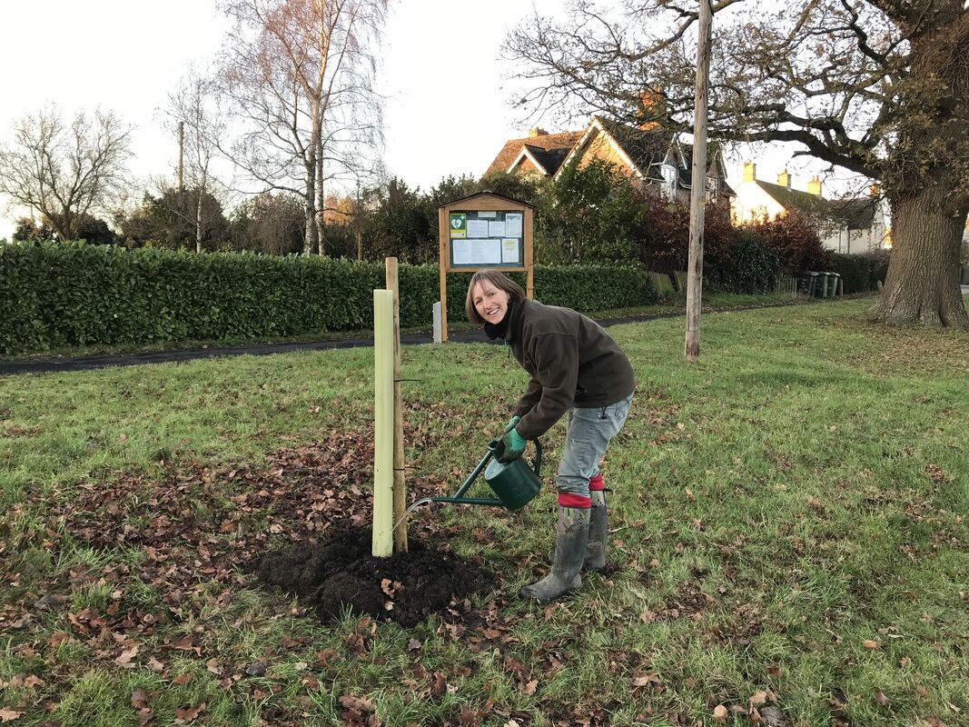Heritage Tree Planting on the LW Green